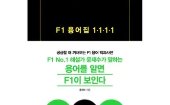 빠른 효과 f1용어집1111 리뷰